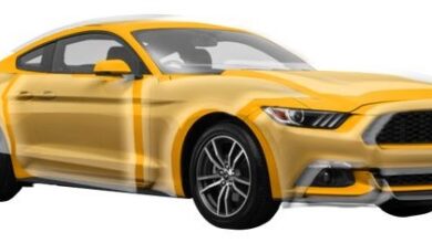 auto paint protection film near me