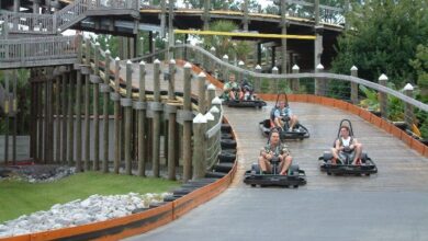 go kart racing gulf shores alabama