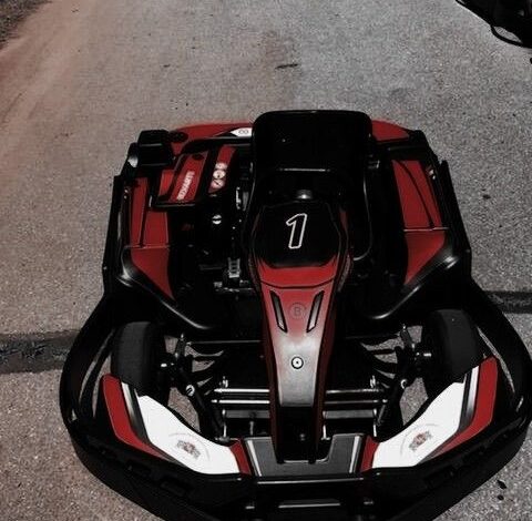 racing go karts for sale in alabama